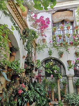 Cordoba - blühender Innenhof