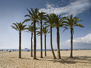 Benidorm - Costa Blanca