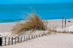 Strand bei Arles