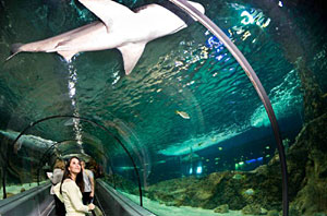 Marineland in Antibes