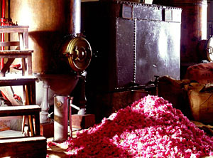 Parfumherstellung in Grasse