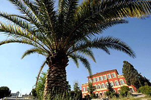 Matisse Museum in Nizza von aussen