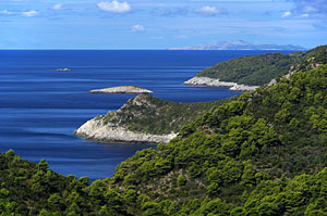 Nationalpark Mljet, Dalmatien