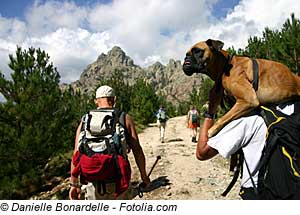 Urlaub auf Korsika mit Hund