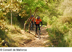 Mountainbiker auf Mallorca