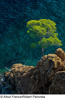 KÃ¼ste nahe Montauroux, CÃ´te D'Azur