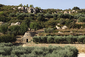 terrassenfÃ¶rmigen AnbauflÃ¤chen, Provence