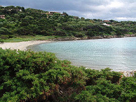 Strand in Porto Rotondo an der Costa Smeralda auf Sardinien