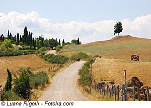 Wandern in der Chianti Region, Toskana