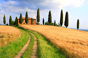 typische Landschaft in der Toskana