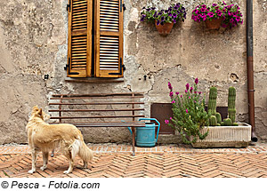 Toskana Ferienhaus mit Hund, Toskana Ferienwohnung mit Hund am Meer, eingezäunter Italien