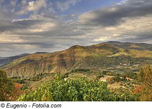 Landschaft in der Toskana